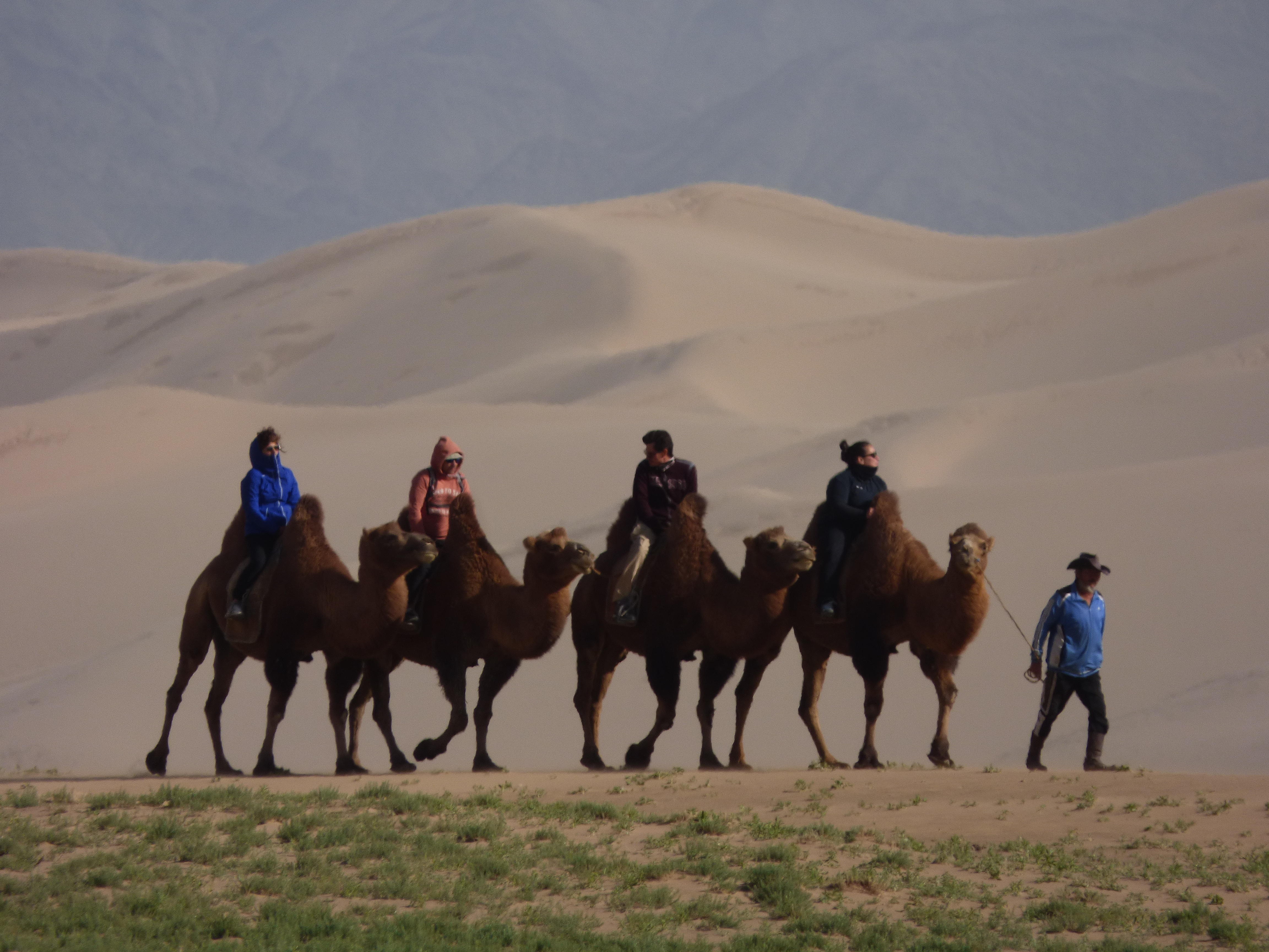 Gobi 7 Days — Khongor Dunes